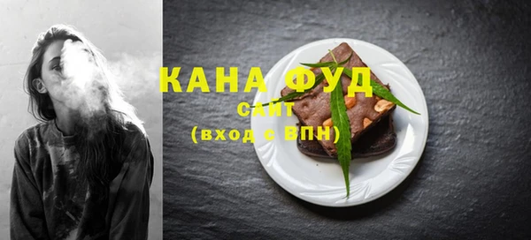 индика Дмитровск