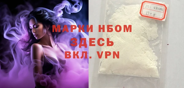 индика Дмитровск