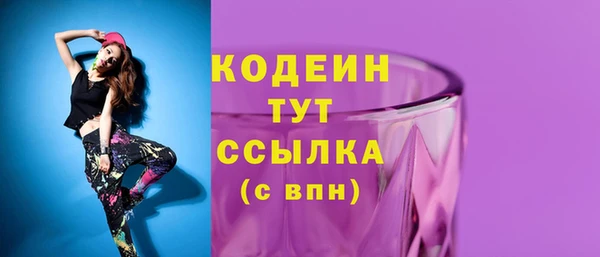 индика Дмитровск