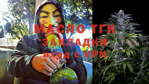 индика Дмитровск
