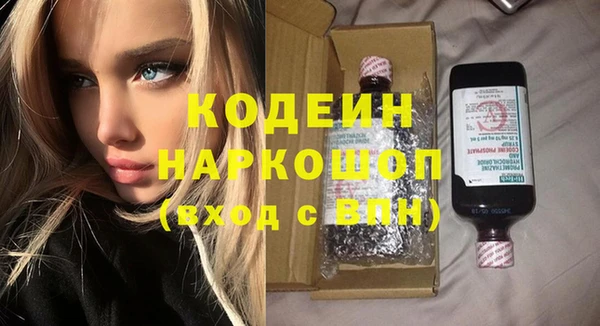 индика Дмитровск