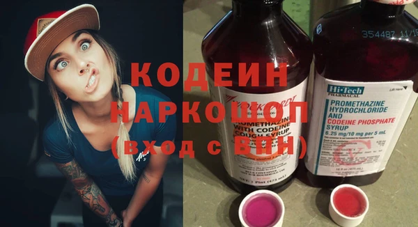 индика Дмитровск