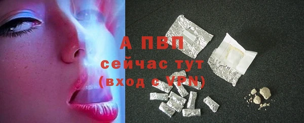 индика Дмитровск