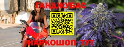 шишки Будённовск
