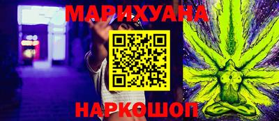 шишки Будённовск