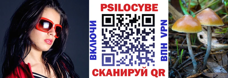 Псилоцибиновые грибы мицелий  Кызыл 