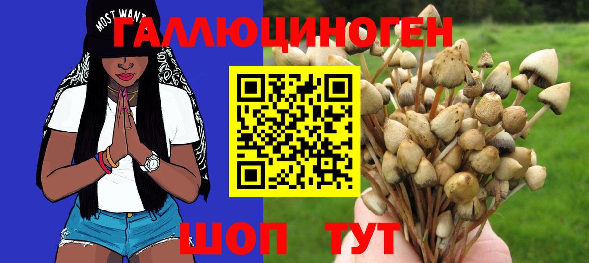 Кызыл  Галлюциногенные грибы прущие грибы  Псилоцибиновые грибы Psilocybe  закладки  Вход с VPN 